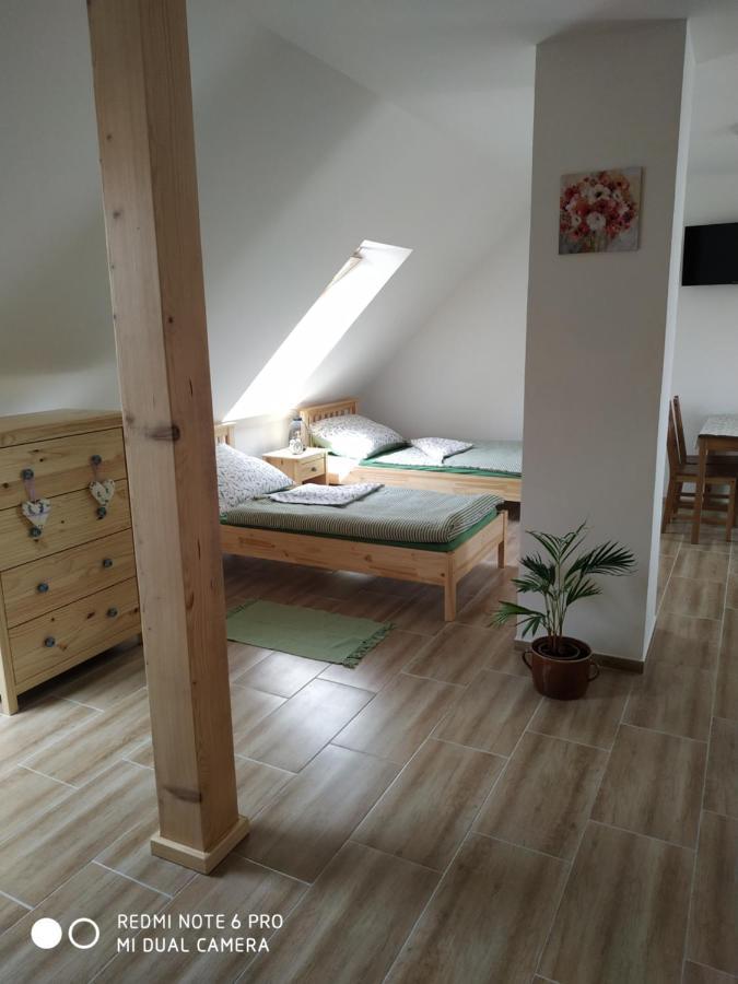 Ubytovani Ve Stodole Stráž nad Nežárkou Exteriör bild
