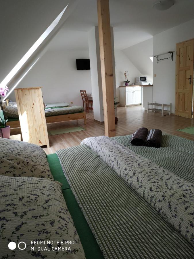 Ubytovani Ve Stodole Stráž nad Nežárkou Exteriör bild