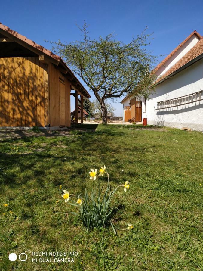 Ubytovani Ve Stodole Stráž nad Nežárkou Exteriör bild
