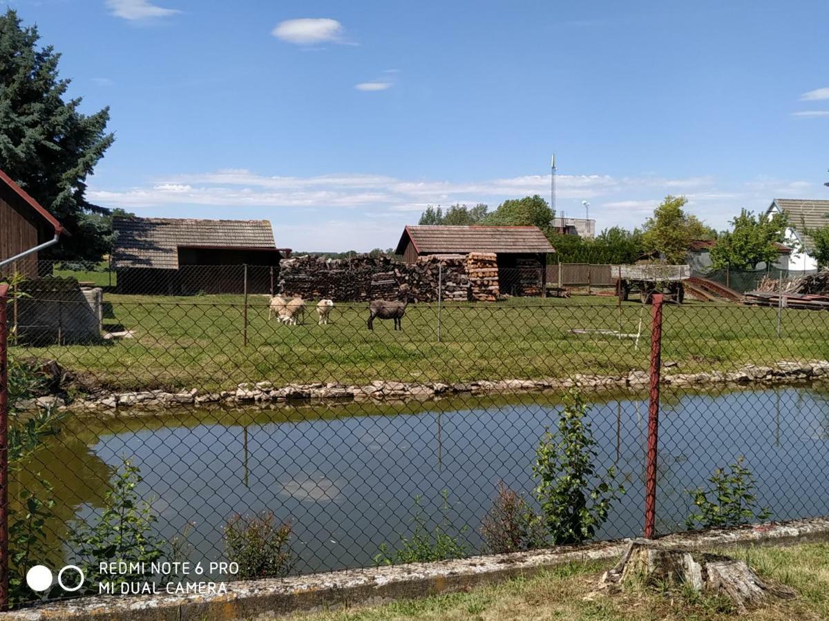Ubytovani Ve Stodole Stráž nad Nežárkou Exteriör bild